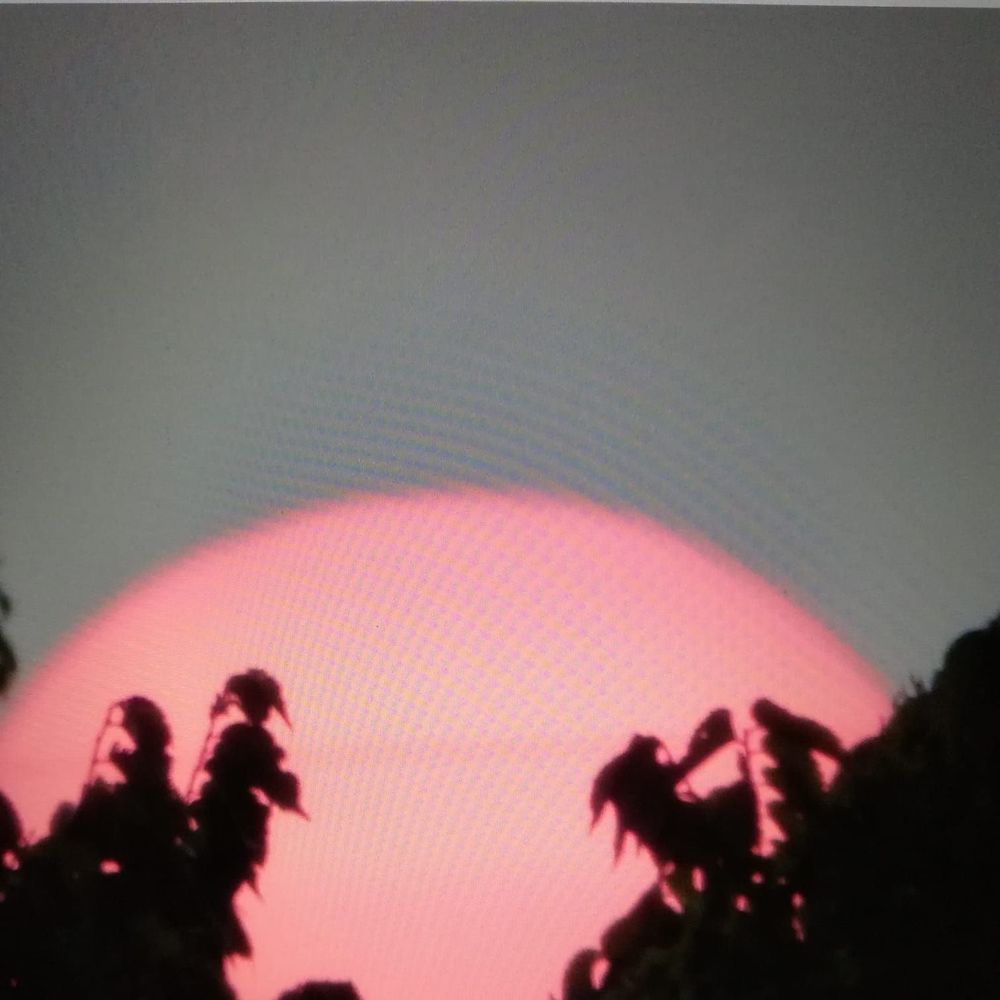 Meet your Posher, Gigi